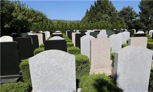 2022年陵园墓地行业市场现状及未来发展趋势分析