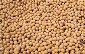 阿根廷暂停豆粕和豆油出口登记 大豆油市场供需及前景分析