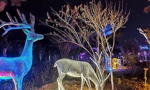 2022年景观照明行业现状及发展前景分析