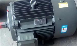 2022年高效节能电机行业现状及发展前景分析