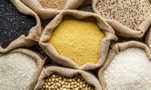 粮食物流行业现状 2022粮食物流行业趋势预测