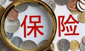 2022人身险行业分析报告 人身险市场空间如何