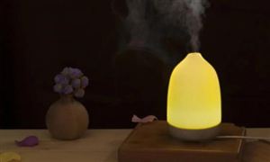 空气加湿器行业趋势如何 2022加湿器市场调查报告