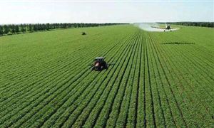 农业种植产业营收及未来发展方向分析