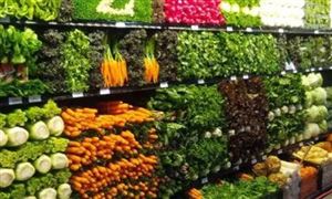 中国农贸电商平台行业现状及发展前景分析