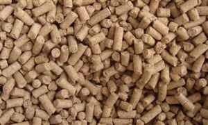 2022猪饲料市场现状及前景分析