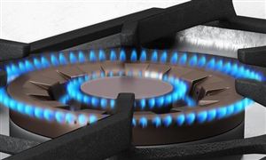 城市燃气市场调研 2022城市燃气行业前景及现状分析