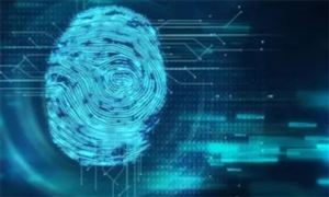 生物识别软件行业发展趋势及市场现状分析