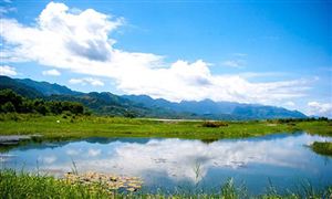 生态环境行业市场深度分析及发展策略研究