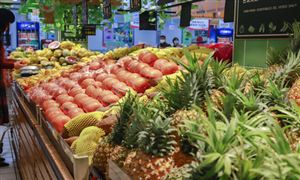 2022年生鲜商超行业市场规模及未来发展分析