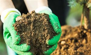 2022缓释肥料行业发展前景与现状分析