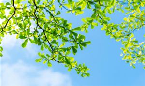 2022国内花露水市场规模与发展分析报告