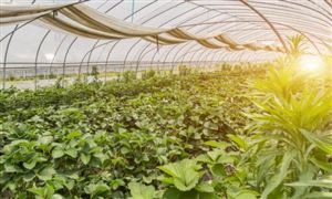 2022数字农业行业空间及数字农业市场调研分析