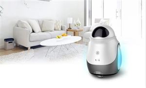 2022年家庭智能机器人行业发展前景及市场定位分析