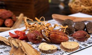 2022中药行业发展潜力及中药市场调研分析