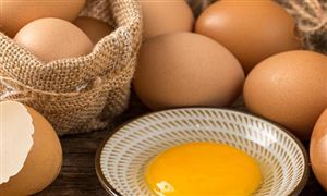 2022年全球鸡蛋价格最新行情分析 鸡蛋价格 今日价全国
