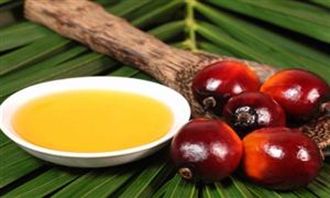 2022年棕榈油行业发展前景及市场规模分析