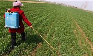 草甘膦行业现状 草甘膦行业展望