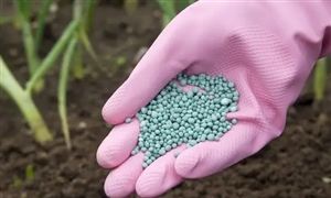 化肥行业景气回升 化肥行业市场深度调研