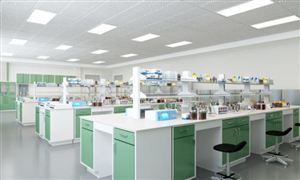 联合办学市场调研 2022联合办学行业前景及现状分析