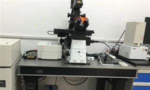 自动化仪器仪表发展前景及市场规模分析