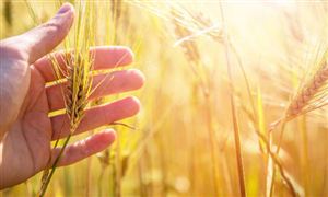 智慧停车行业市场需求及发展前景分析