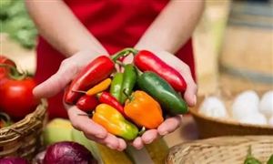 2022年农产品电商行业现状及发展前景分析