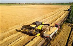 2022中国粮食物流行业需求与政府发展战略研究