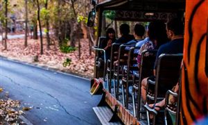 2022自助旅游行业前景及市场现状分析