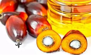 2022中国食品饮料加工行业成本与供应链危机分析