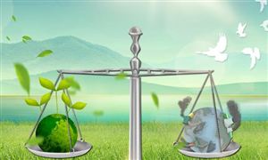 中国碳中和产业调研与投资机会分析