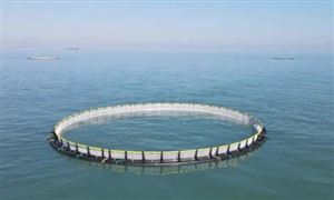 海洋牧场行业发展分析 2022海洋牧场投资前景分析