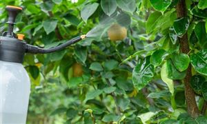 2022中国对农业支持力度的加大 农药行业行情如何?