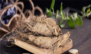 2022人参种植行业发展趋势及市场现状分析