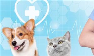 国内宠物医院数量 宠物医院行业经营现状分析