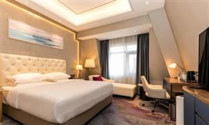 2022星级酒店发展前景及环境分析