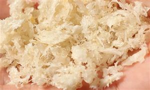 2022年滋补保健品行业现状及发展前景分析