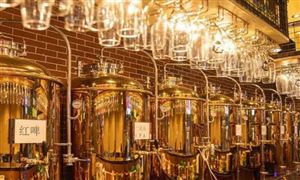 精酿啤酒市场调研与发展趋势预测2022