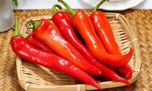 辣椒素可抑制幽门螺旋杆菌生长 辣椒素市场前景2022