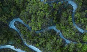 上海奉贤区部分旅游景区恢复开放 实行“限量、错峰”管理