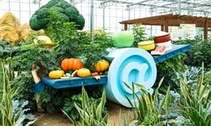 2022年休闲农业与乡村旅游行业现状及发展前景分析