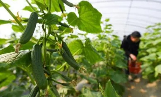 2022年幸福产业发展投资机会分析 “幸福产业”已成我国经济新的增长点