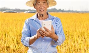 农村电商行业市场现状 农村电商正为三农发展注入新活力