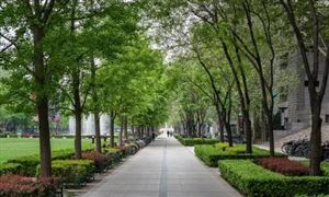 校园一卡通行业现状 教育信息化助推一卡通行业发展