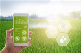 2022中国数字农业发展模式和方向可行性研究报告