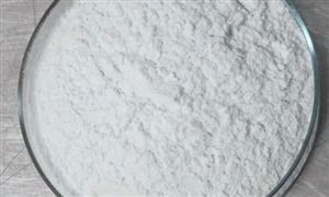 2022年药用辅料行业现状及发展前景分析