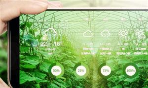 有机农产品行业市场行情分析 有机农产品行业前景如何?