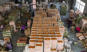 农村电商行业分析 直播电商带动行业发展