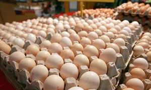 鸡蛋加工市场调研 鸡蛋加工行业现状分析
