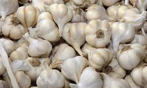 2022年大蒜行业现状及发展前景分析